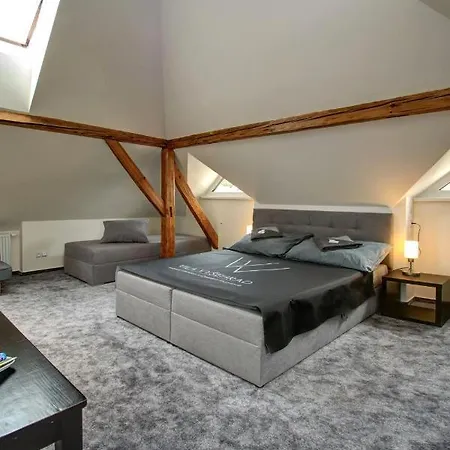 بيت ضيافة Vysehrad 4*