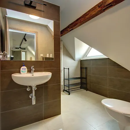 بيت ضيافة Vysehrad 4*