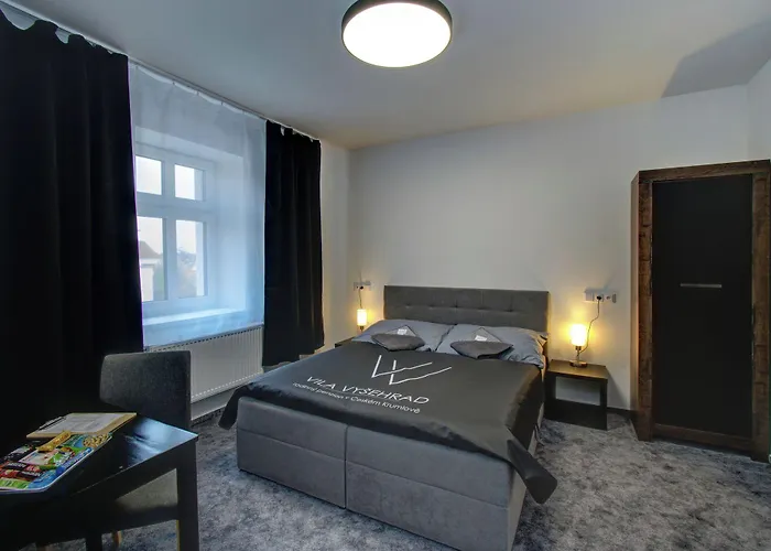 Гостевой дом Vysehrad 4*